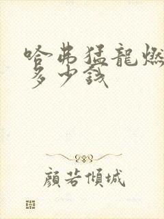 哈弗猛龙燃油版多少钱 哈弗猛龙燃油版多少钱