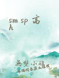 sm sp 高h