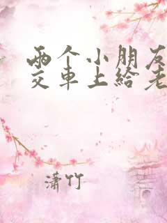 两个小朋友在公交车上给老奶奶让座的写话