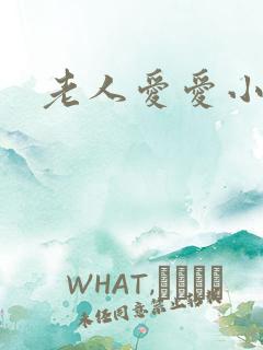 老人爱爱小说