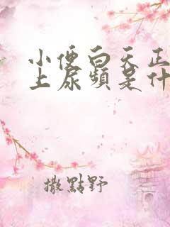 小便白天正常晚上尿频是什么原因