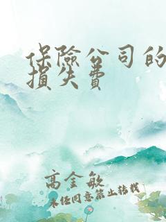 保险公司的精神损失费