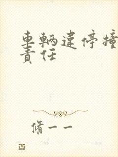 车辆违停撞车谁责任