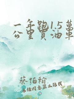 一年跑1.5万公里买油车还是电车