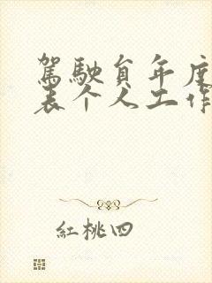 驾驶员年度考核表个人工作总结 驾驶员年度考核表个人工作总结