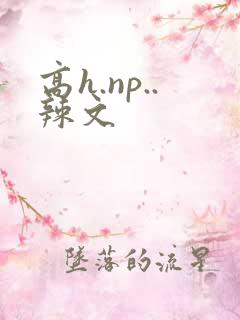 高h.np..辣文