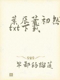 叶辰萧初然最新txt下载