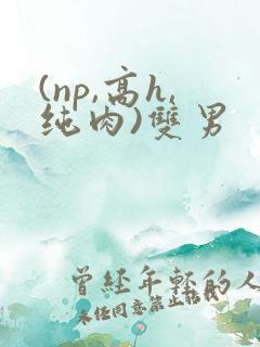 (np,高h,纯肉)双男