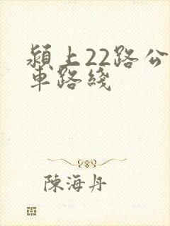 颍上22路公交车路线