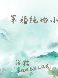 军婚纯肉小说