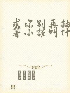 求你别再抽了原著小说叫什么