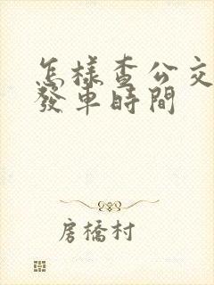 怎样查公交车的发车时间