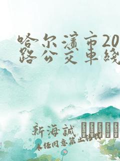哈尔滨市206路公交车线路图