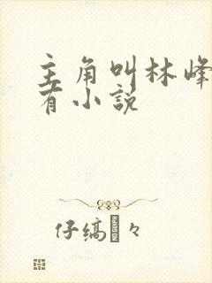 主角叫林峰的所有小说