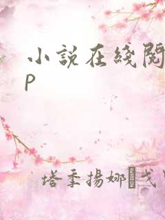 小说在线阅读np
