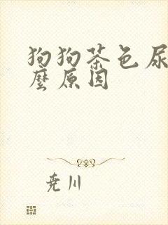 狗狗茶色尿是什么原因