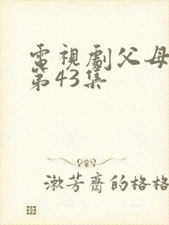 电视剧父母爱情第43集