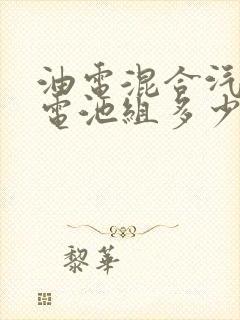 油电混合汽车换电池组多少钱