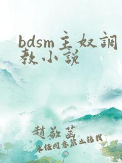 bdsm主奴调教小说