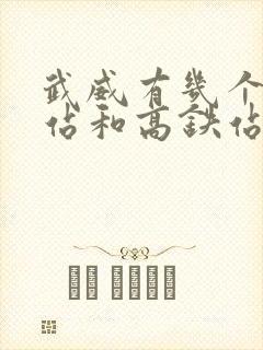 武威有几个火车站和高铁站