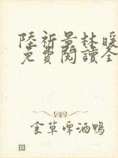 陆祈景林暖小说免费阅读全文无弹窗
