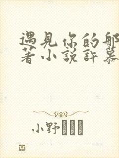 遇见你的那天原著小说许慕谢时