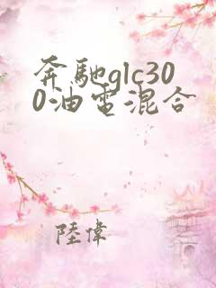 奔驰glc300油电混合 奔驰glc300油电混合