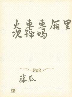 火车车厢里有车次号吗