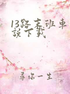 13路末班车小说下载