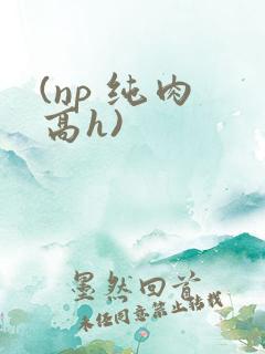 (np 纯肉 高h)