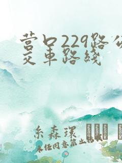 营口229路公交车路线