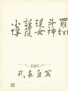 小说从斗罗开始俘获女神txt下载