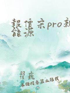 报价宋pro新能源