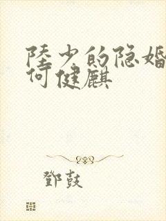 陆少的隐婚罪妻何健麒