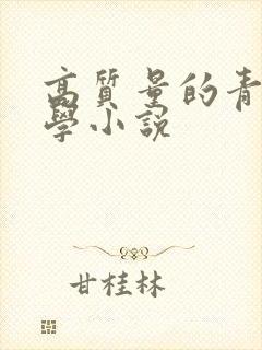 高质量的青春文学小说 高质量的青春文学小说