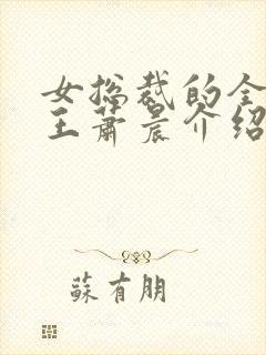 女总裁的全能兵王萧晨介绍