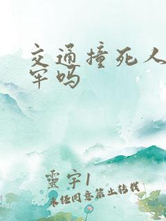 交通撞死人会坐牢吗