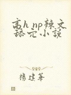 高h np辣文 舔穴小说