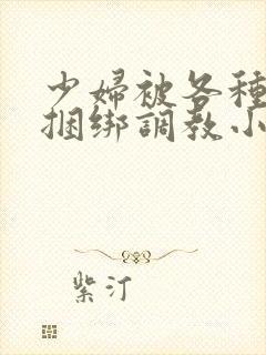 少妇被各种姿势捆绑调教小说
