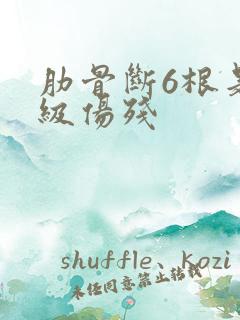 肋骨断6根是几级伤残