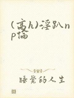 (高h)淫趴np伦