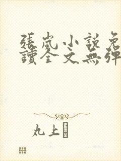 张岚小说免费阅读全文无弹窗