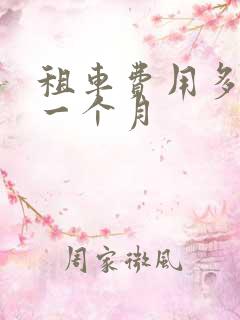 租车费用多少钱一个月