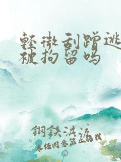 轻微刮蹭逃逸会被拘留吗