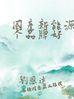 国产新能源车哪个品牌好