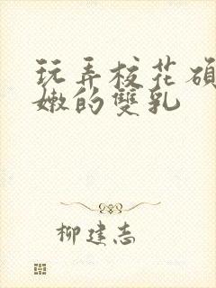 玩弄校花硕大白嫩的双乳