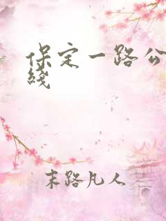 保定一路公交路线