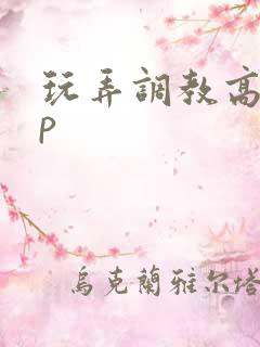 玩弄调教高hnp