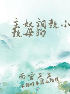 主奴调教小说调教母狗