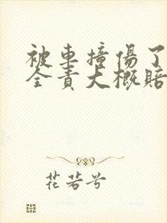 被车撞伤了对方全责大概赔偿多少